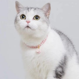 Cat Collars