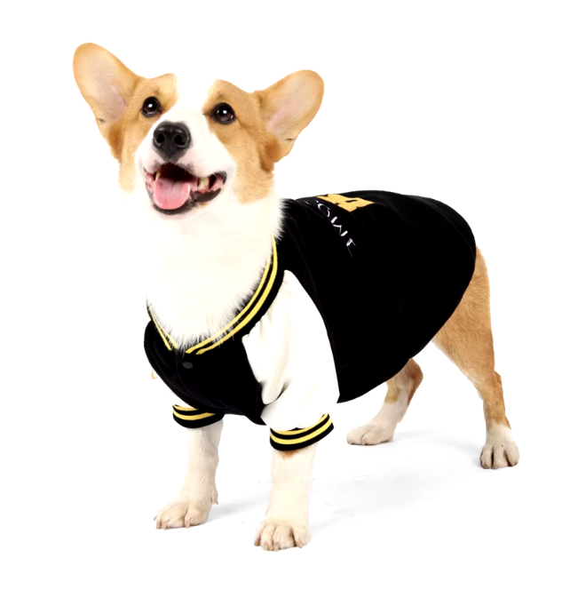 Dog Clothing and Apparel