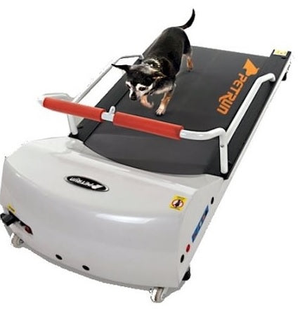 PetRun PR700 Dog Treadmill