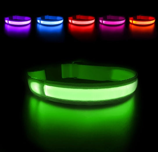 Luminous Dog Collar by MASBRILL- Light up Collar-